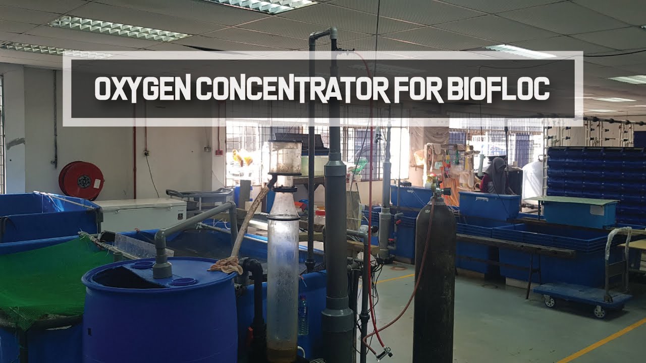 Oxygen Cone used for Indoor Biofloc Shrimp Farming