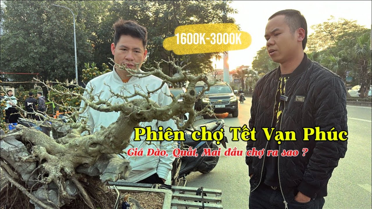 VẮNG VẺ Chợ Tết Vạn Phúc. Lượng người mua sắm chưa đông, BÁO GIÁ một số sản phẩm | Quảng Tùng