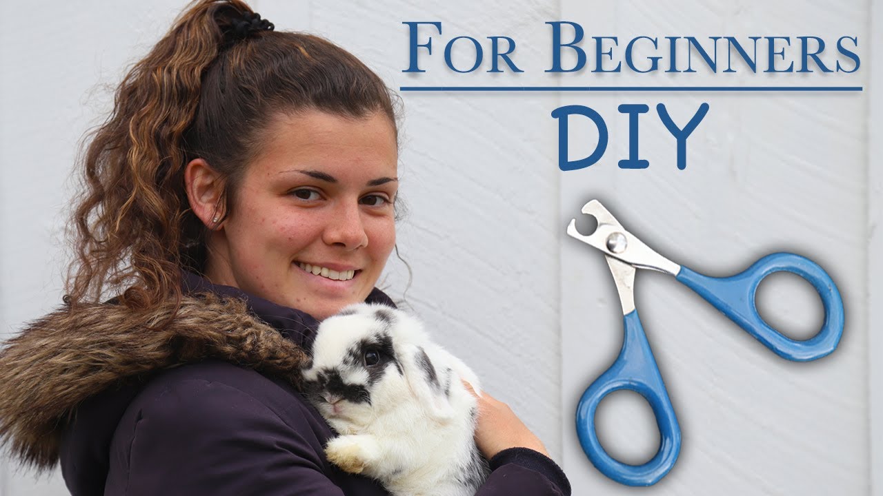 Tutorial on Clipping Bunnies Nails