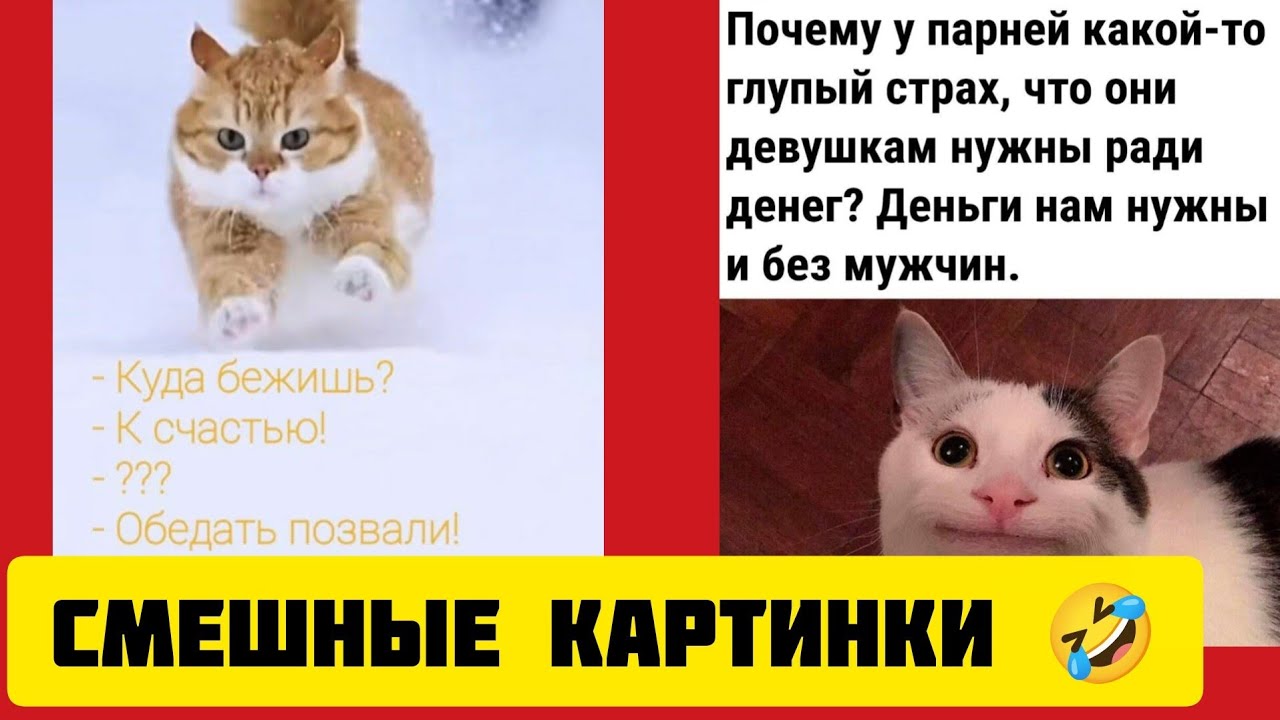  у парней какой-то глупый страх, что они девушкам нужны ради денег? Деньги нам нужны и без мужчин.🤣