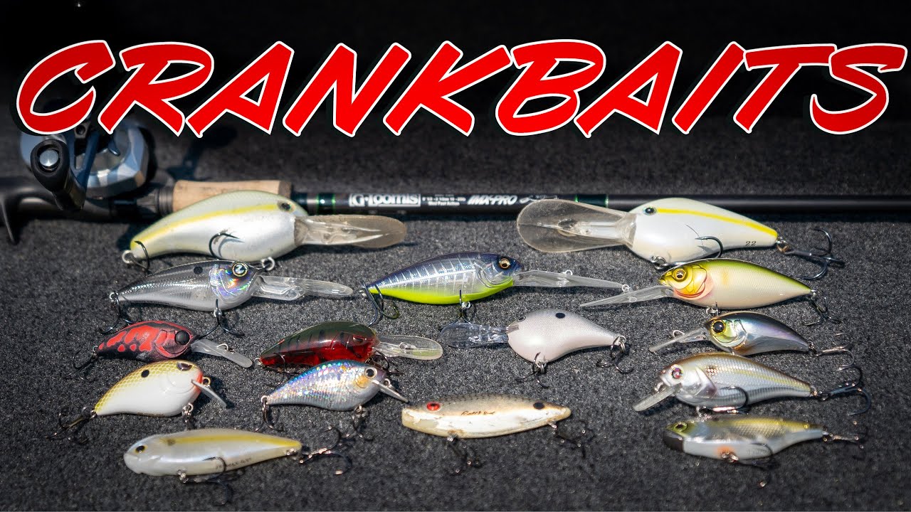 BUYER'S GUIDE: Crankbait Fishing (Shallow, Deep, Lipless, Rods, Reels)