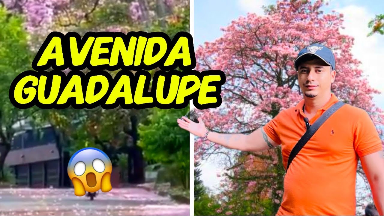 La famosa AVENIDA GUADALUPE  en Cali #valledelcauca #turismo #misterio