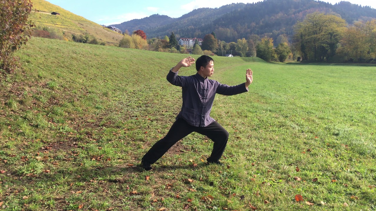 Yang Jian Chao - 38er Handform