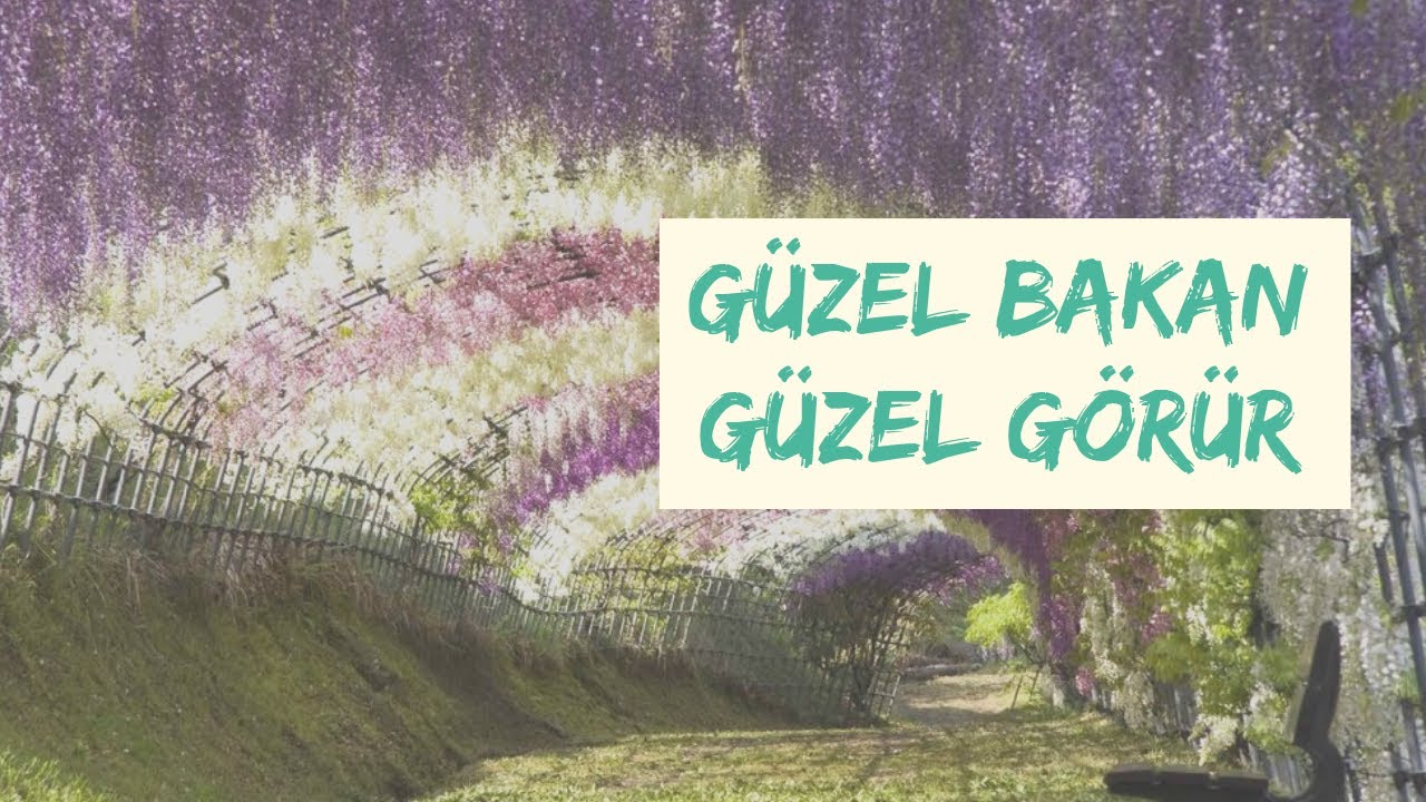 Risale-i Nur Dersi - 