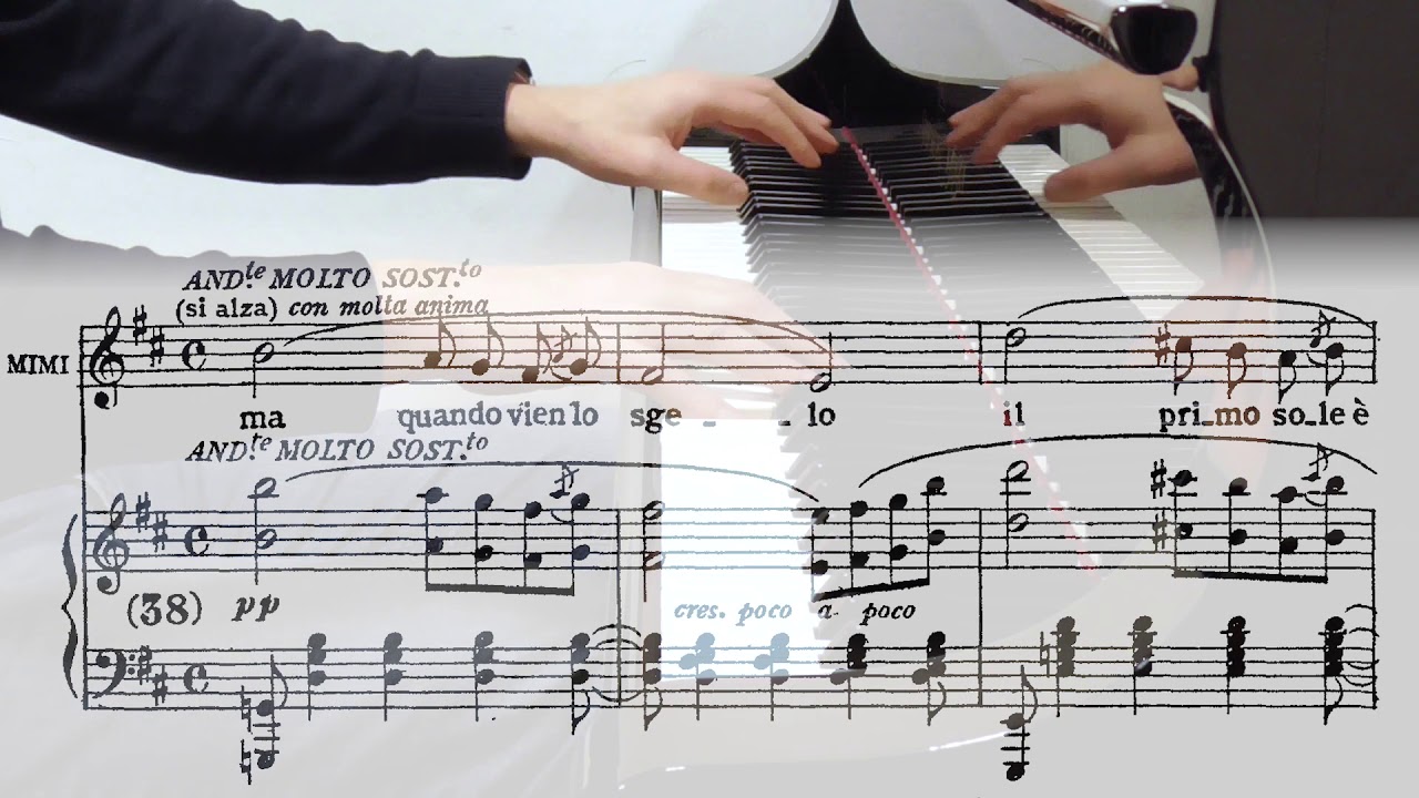 Giacomo Puccini: Mimi's Aria from La Bohème  - 