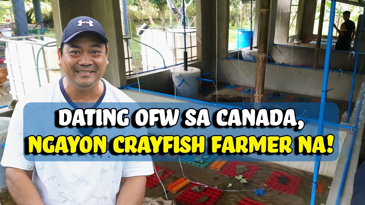 Dating OFW sa Canada, Ngayon Crayfish Farmer na!