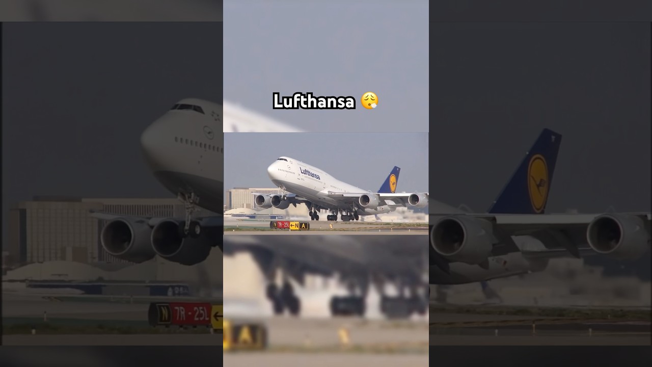 Why we love Lufthansa ✈️ #airplane #aviation #lufthansa #747