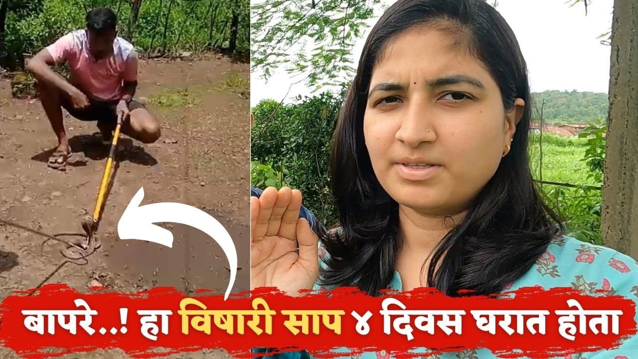 बापरे..! हा विषारी साप ४ दिवस आमच्या घरात होता  |#villagelife #snake | vlog 344