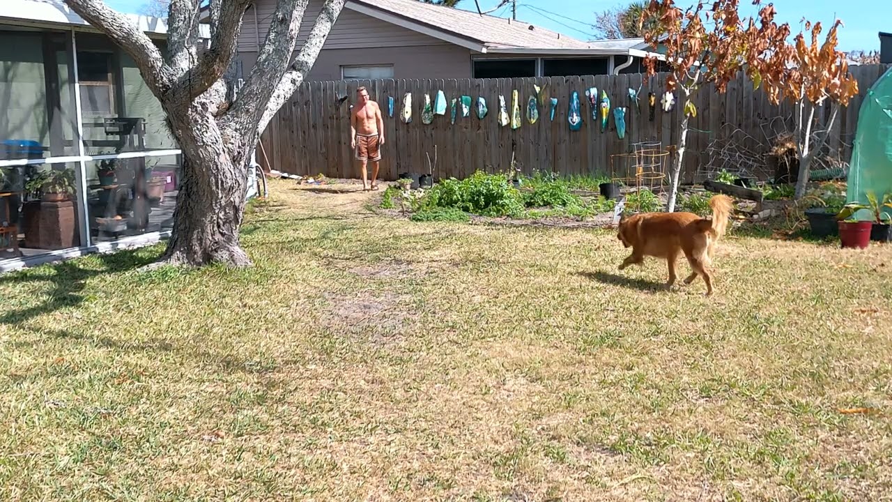 Fetching Foxy 105 Says roses are red violets are blue
