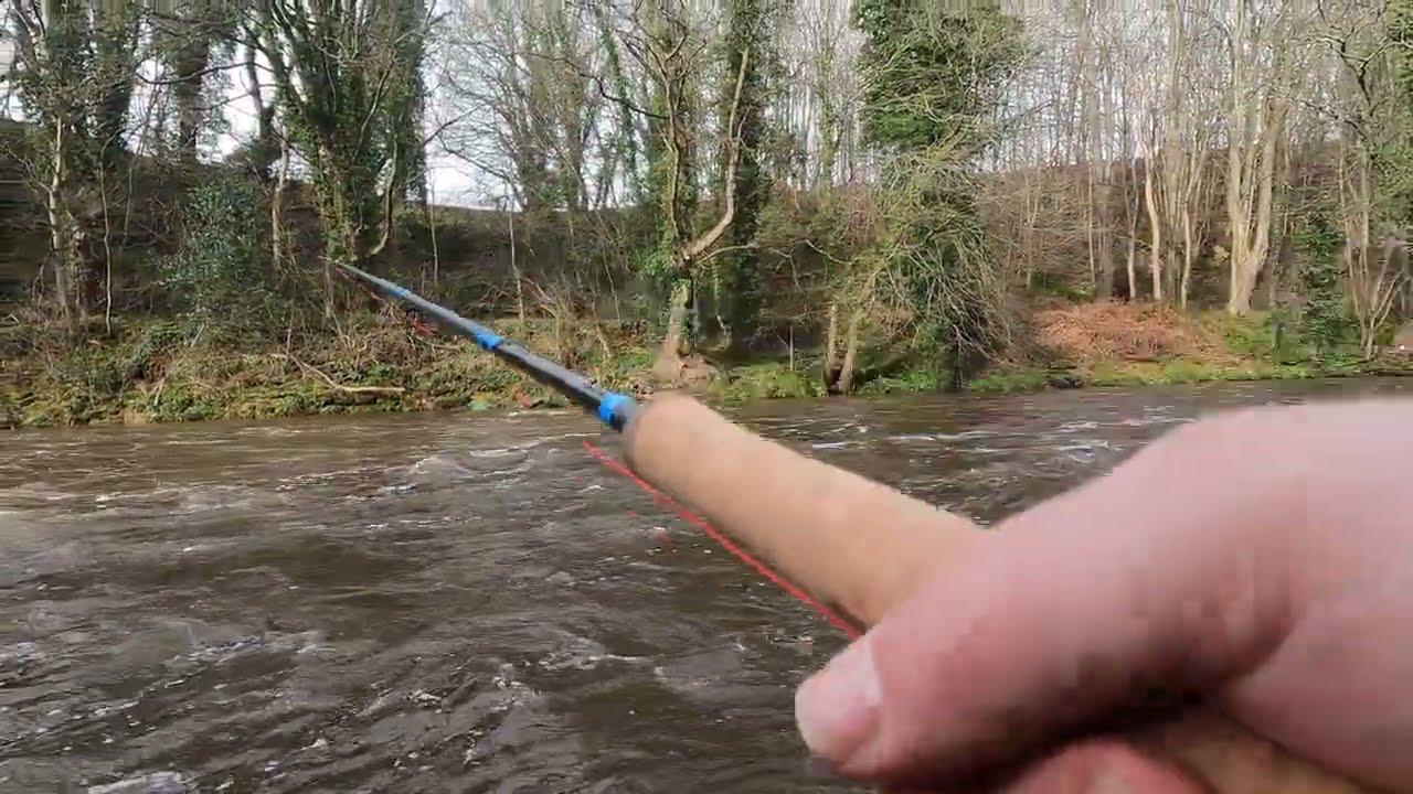 New rod day! V - Switch 4wt from Maxcatch test.