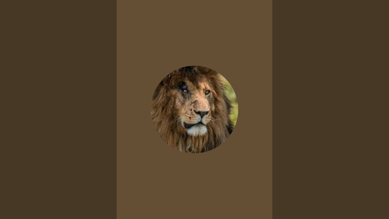 Call of duty Grand Master V est en direct !