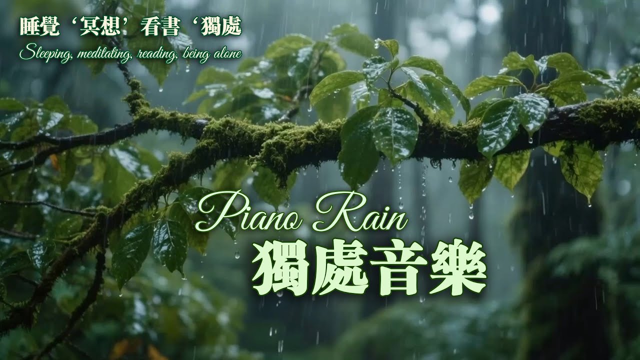 【100%无广告】獨處時光 琴雨為伴｜Piano Rain 1 小時 放鬆身心必聽  #music #relaxing #放松 #冥想 #睡眠 #轻音乐