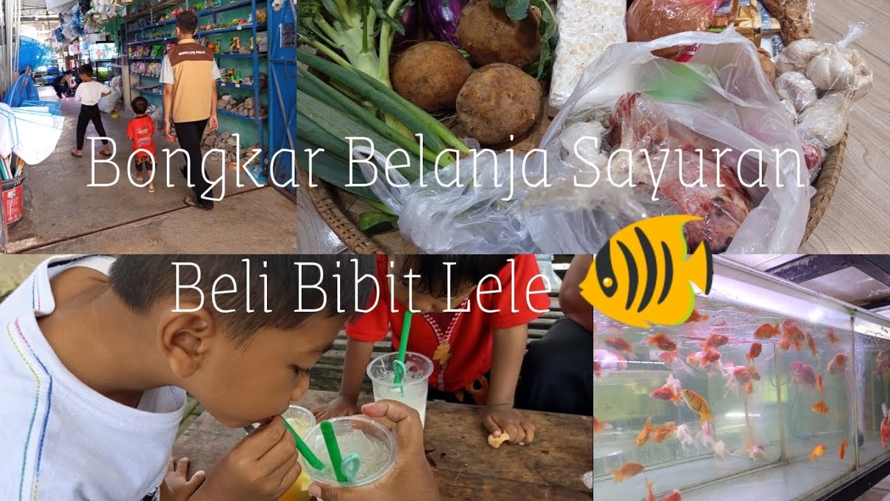 Aktifitas IRT || Bongkar Belanja Mingguan 🥦🧄 || Pergi ke Toko Ikan 🐟