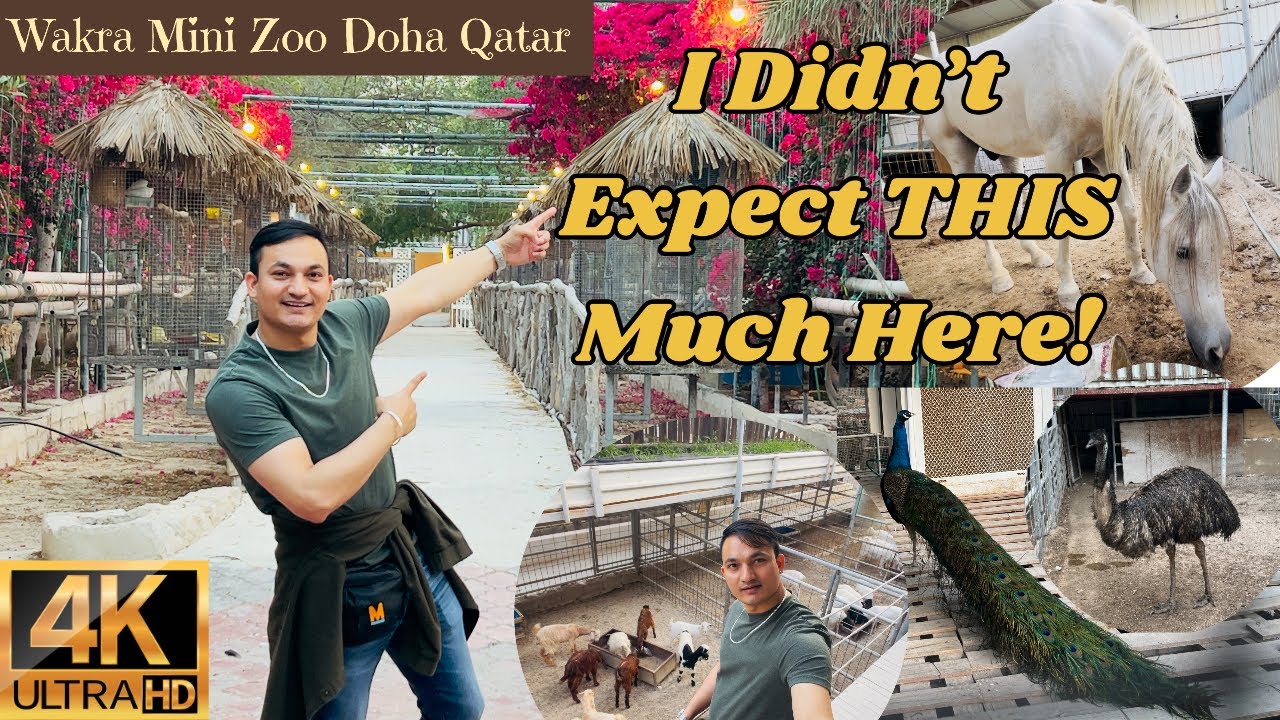 Day 58/365 | An Authentic Nature Escape at Wakra Mini Zoo, I Forgot the City Existed …🌸🐢🦜🐟🦄😮 🤯 