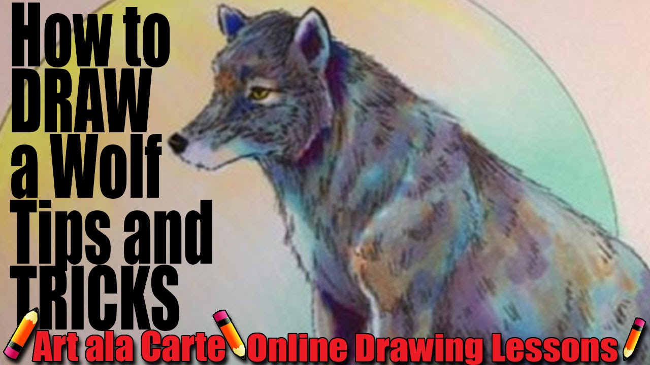 How to draw a wolf Tips and Tricks