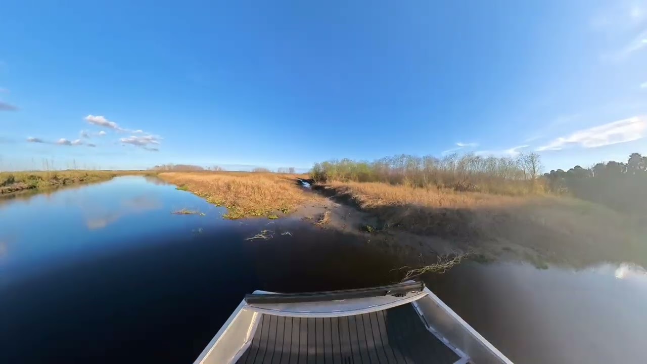 FLORIDA GATORS: Dozens of Alligators Jumping to Escape our Airboat! 🐊