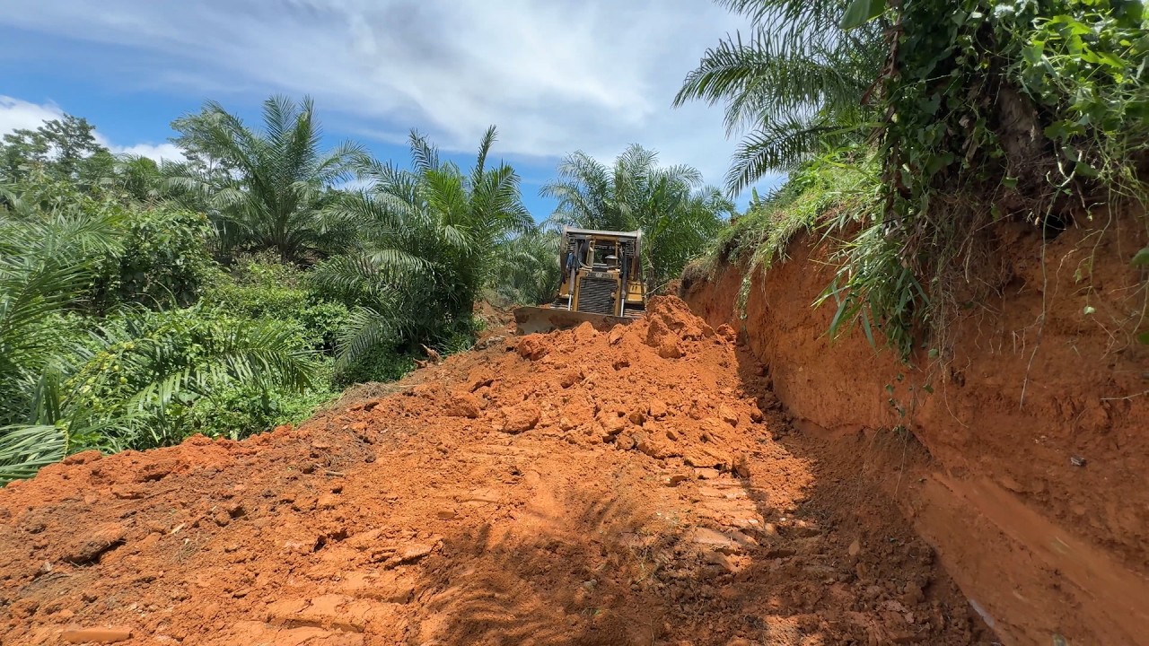 The Power of the D6R XL Bulldozer in Building Palm Oil Plantation Roads