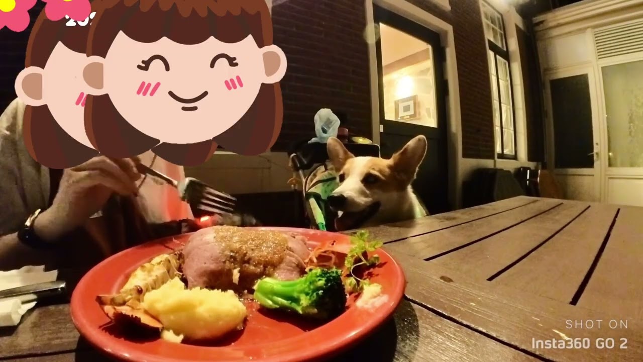 ハウステンボスのハロウィンシーズン🎃レッドロブスターで食事🦞̥