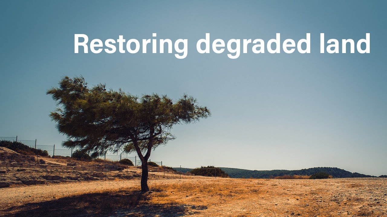 The Path to Zero Emissions: Restoring Land