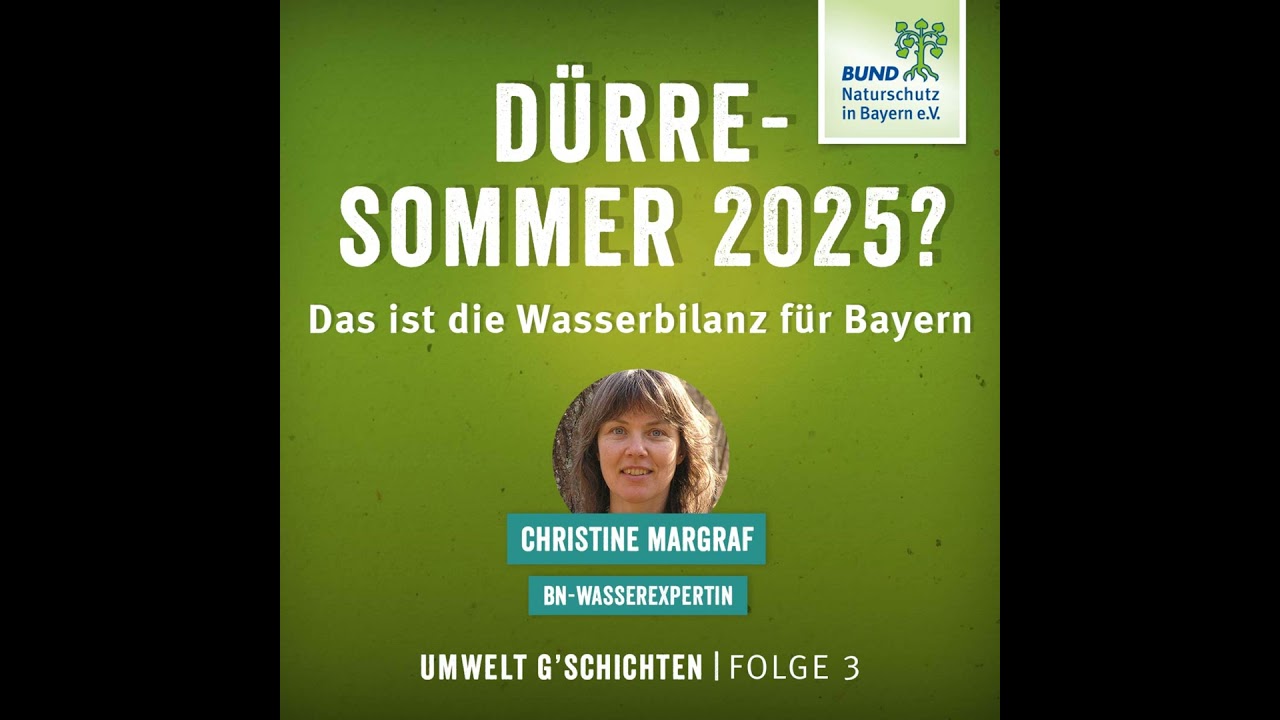 Zwischen Schein und Realität – die Wasserbilanz des Sommers