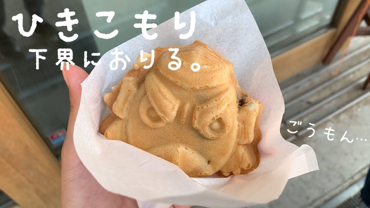 【一人暮らしの日常】都会に疲れた引きこもりの休日