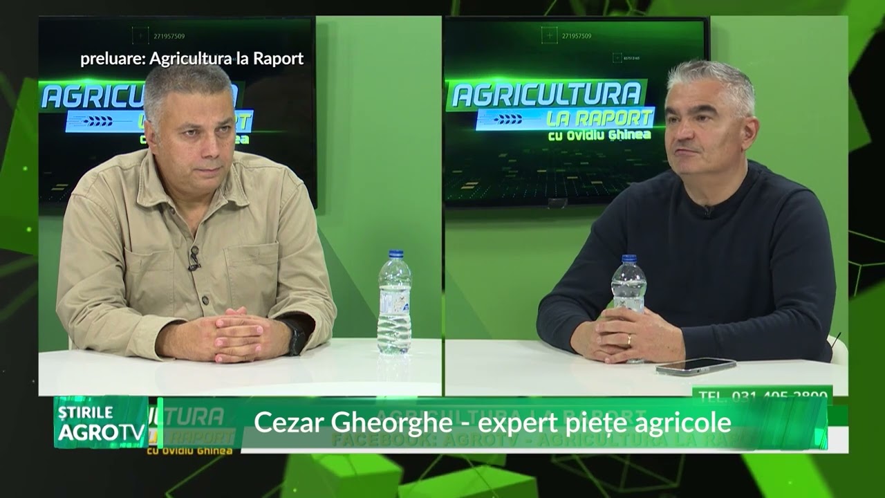 Rapița, cea mai profitabilă cultură din  2025 2026 01 10 2025