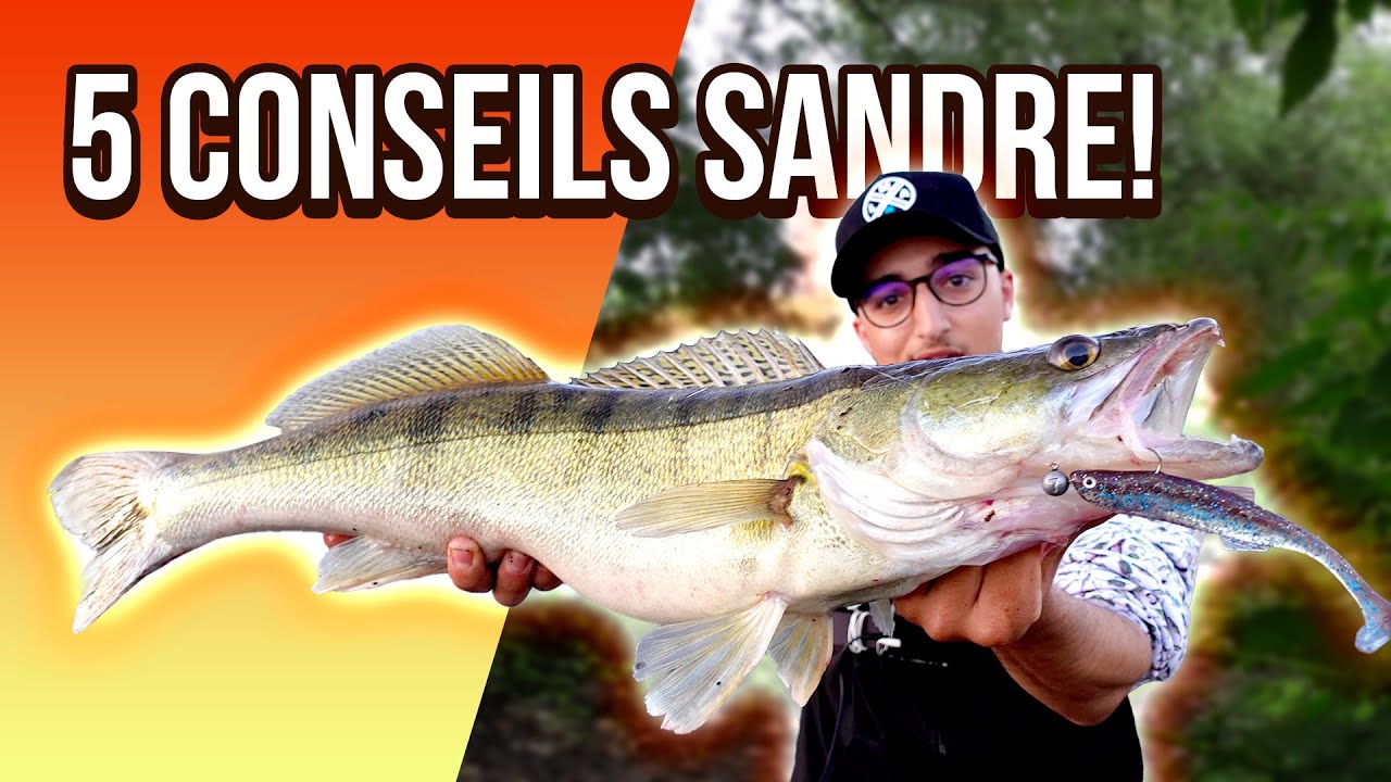 5 ASTUCES pour la pêche du SANDRE !