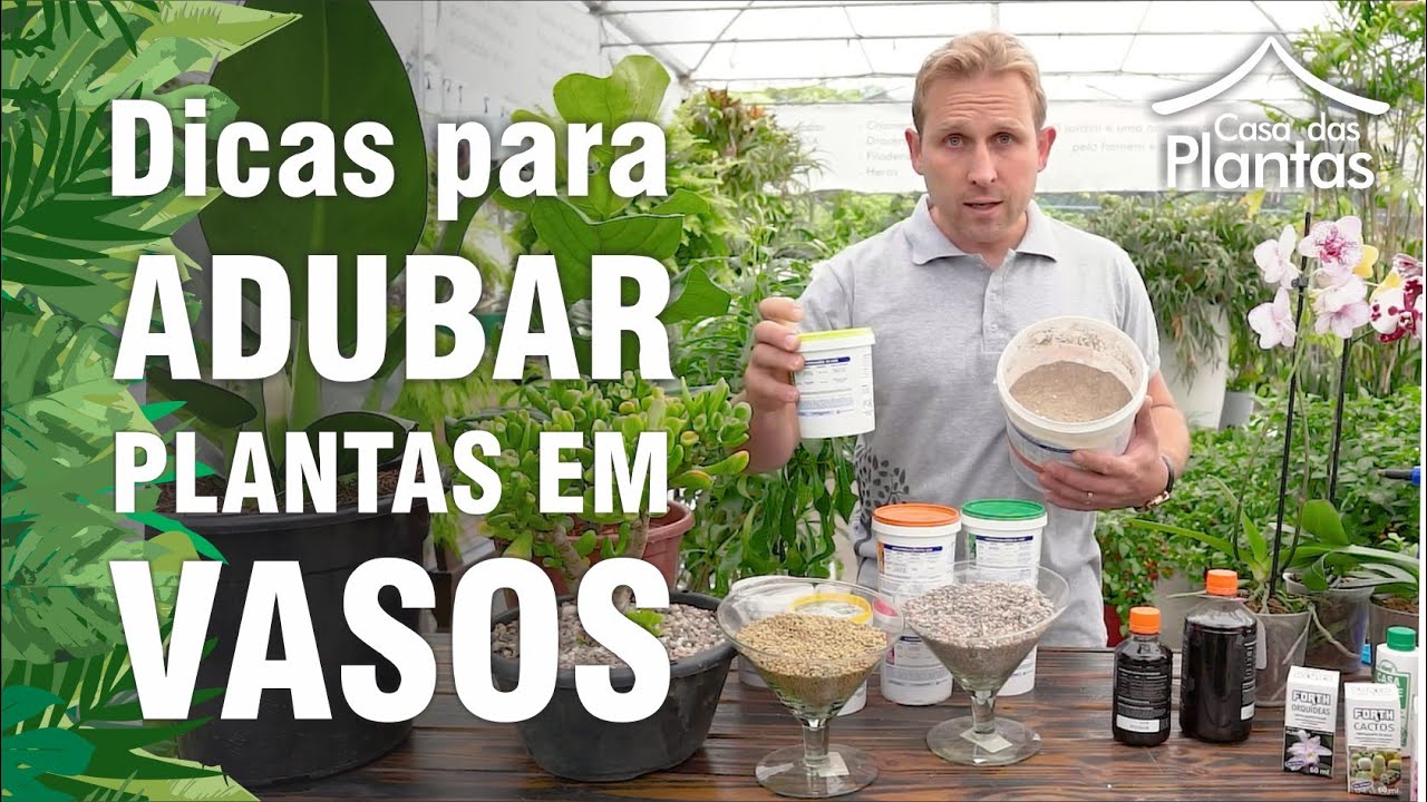 Como adubar plantas em vasos - dicas rápidas
