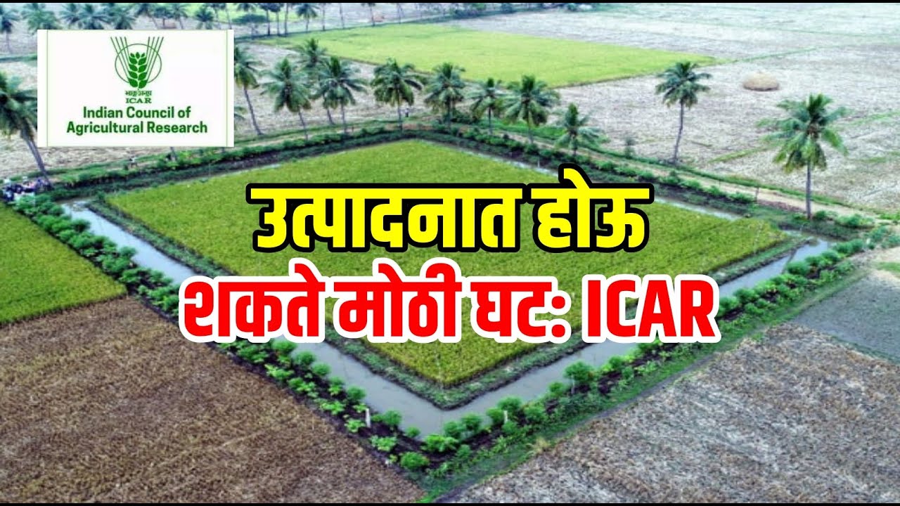 झिरो बजेट नैसर्गिक शेतीवर सरकारचा भर| Zero Budget Natural Farming | Krishi Jagran | ICAR News | IARI