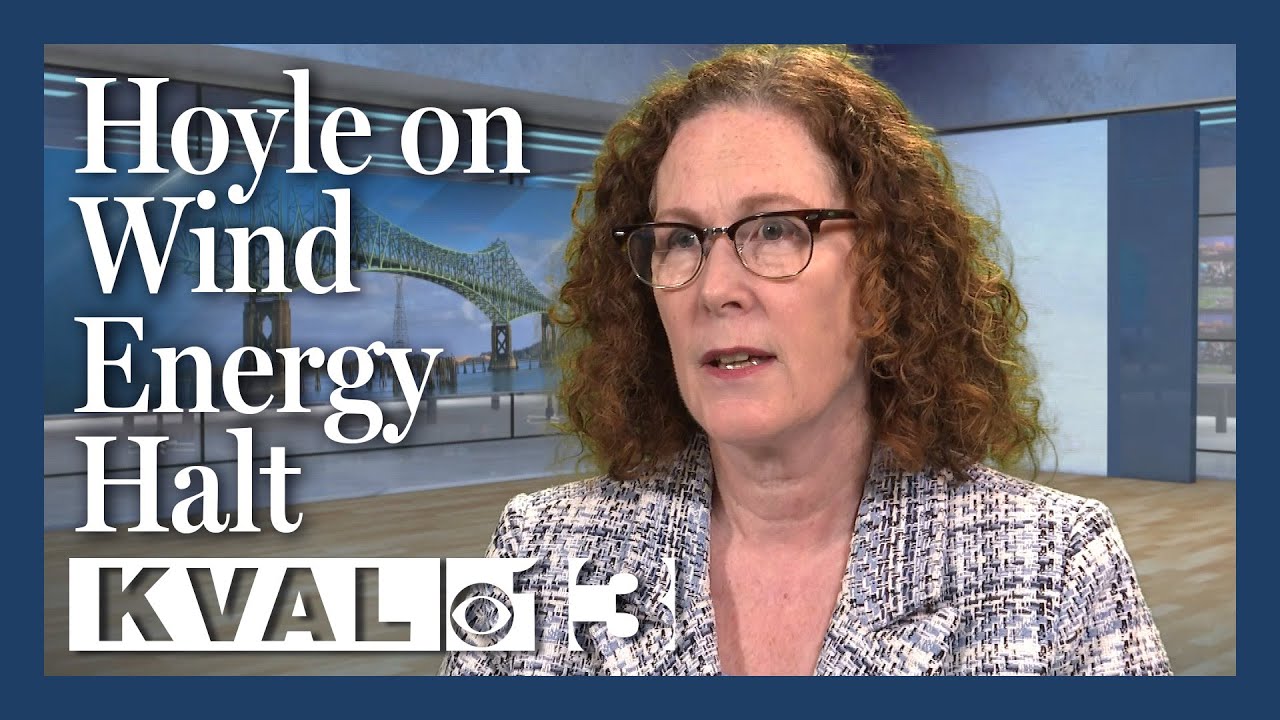Rep. Val Hoyle on Call for Wind Energy Halt: FULL INTERVIEW