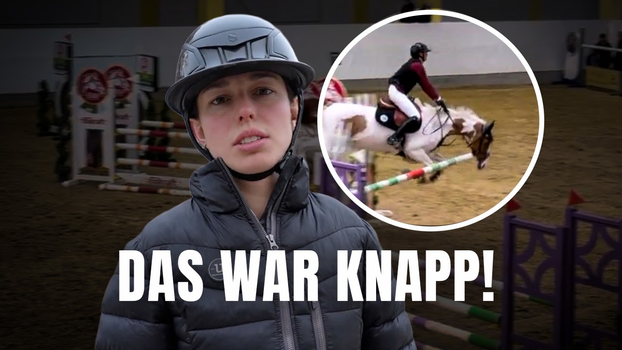 🐴 4 Pferde, 11 Starts! XXL Turnier-VLOG 🏆&ndash; Teil 2/4