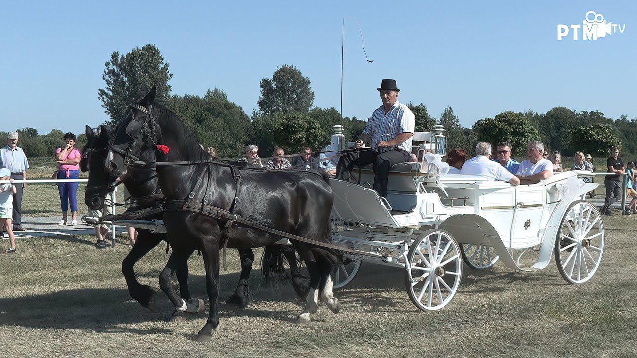 Kraina Pięknych Koni Wrocieryż 2025