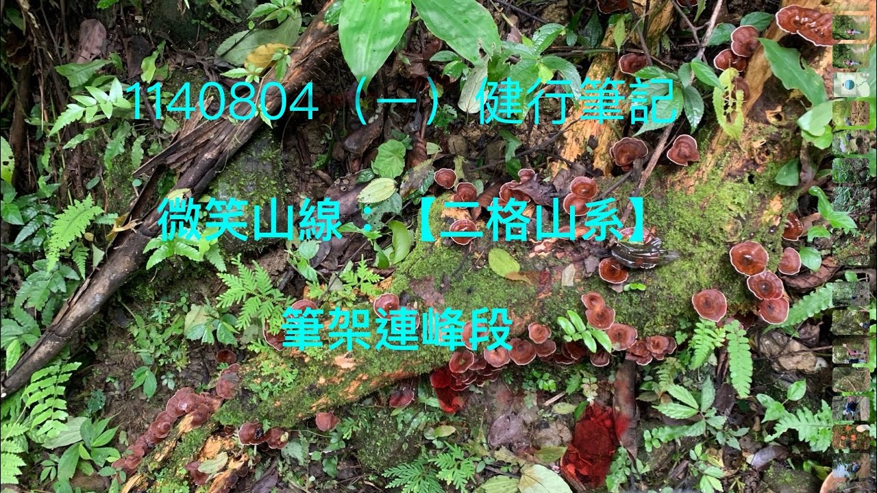 20250804健行筆記 微笑山線：【二格山系】筆架連峰段