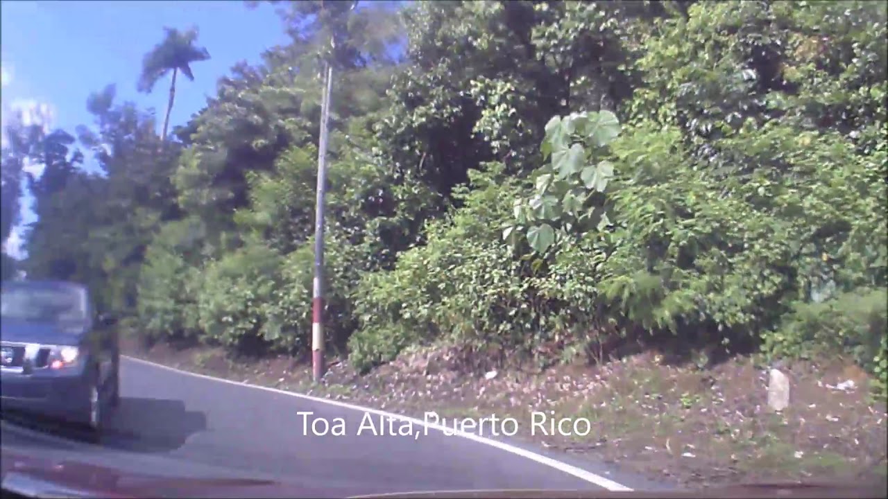 Toa alta puerto rico rio quebrada cruz contorno galateo piñas mucarabones ortiz pueblo de toa alta