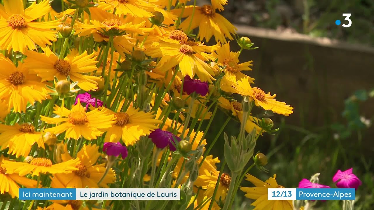 Balade dans le Luberon, à Lauris, dans un jardin botanique qui est unique en Europe