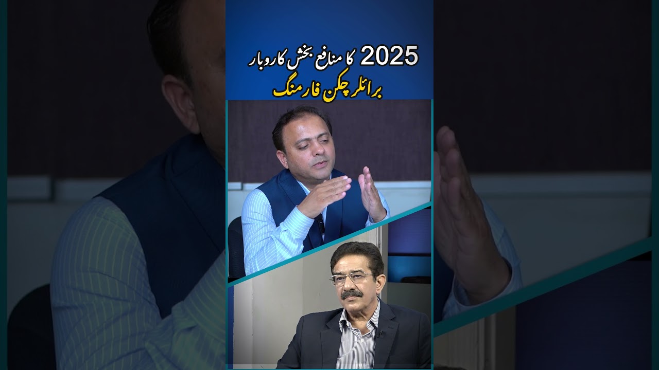 Broiler chicken farming in Pakistan | Best business idea 2025