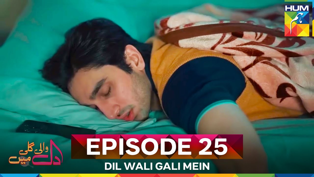 Dil Wali Gali Mein Episode 25