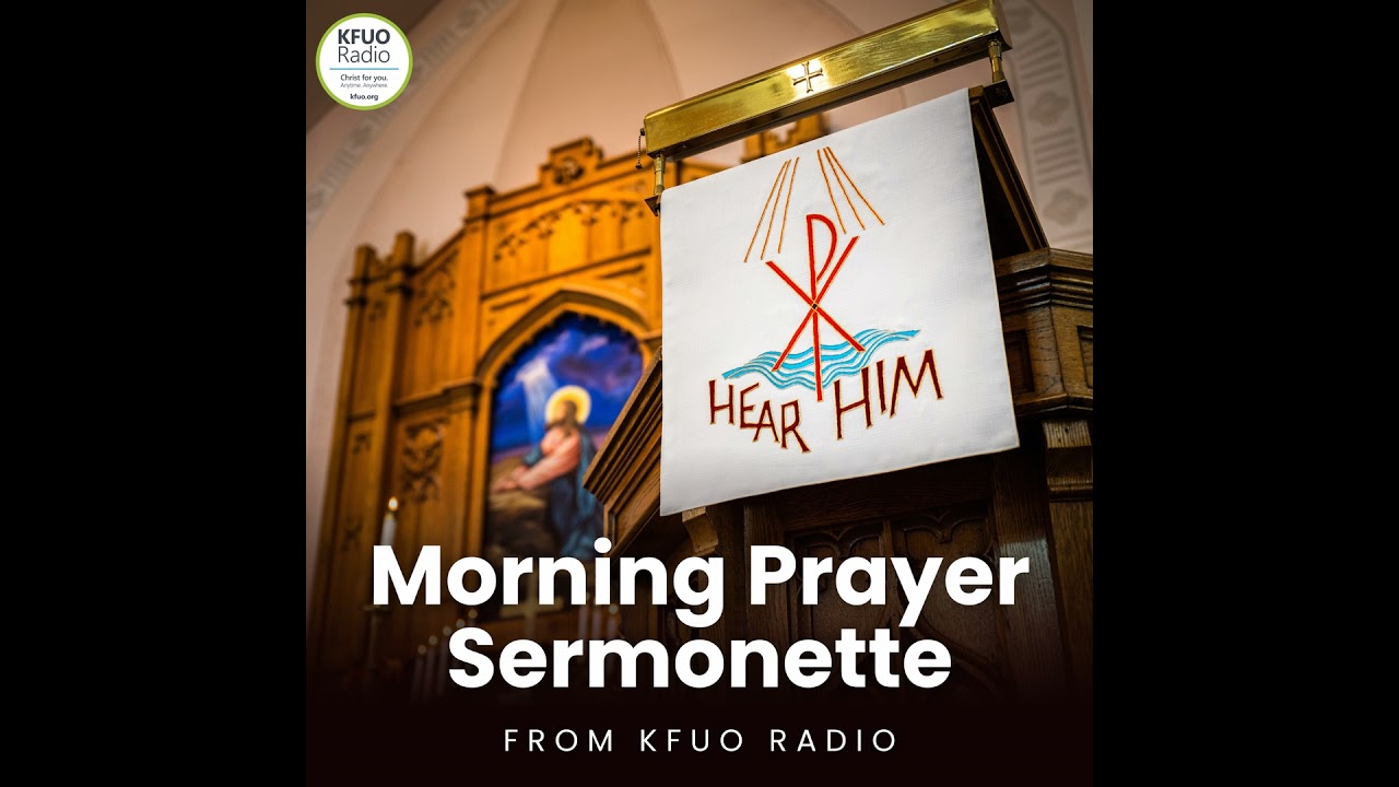 Meditation on John 3:1-21