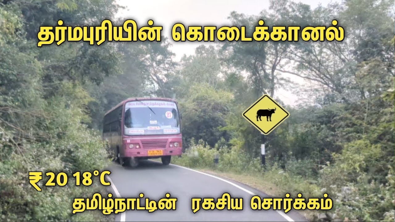 🤩 தர்மபுரியின் கொடைக்கானல் 🤩