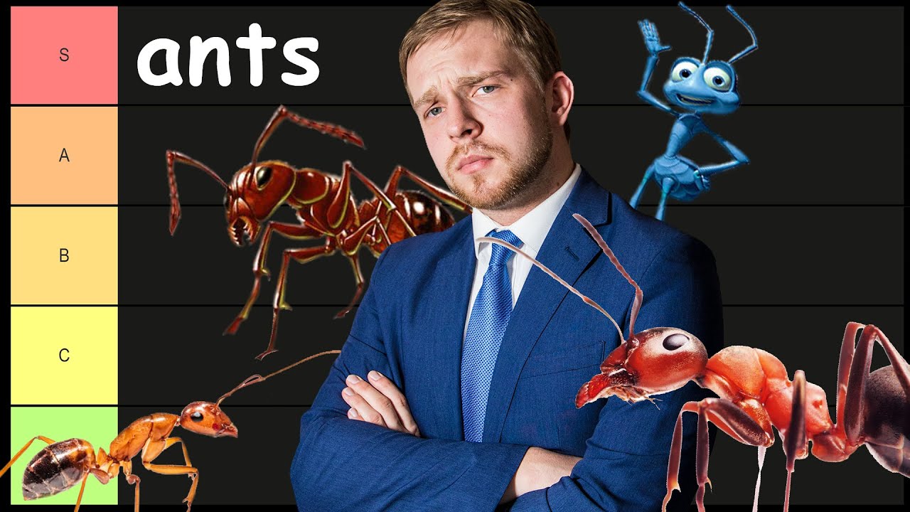 THE ANT TIER LIST