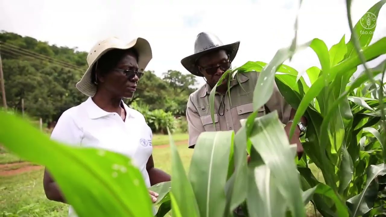 FAO Technical Cooperation Programme, Small Projects, Big Results - 2022 results