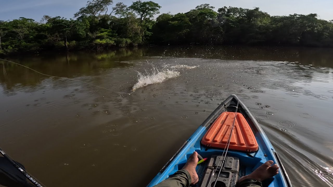 NÃO IMAGINAVA QUE ESSE PEIXE ERA CAPAZ DE FAZER ISSO - Pescaria em Roraima com Caiaque Tuna115