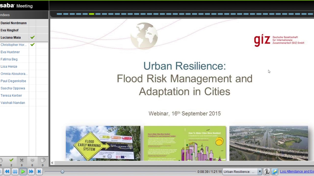 Urban Resilience: Flood Risk Management and Adaptation in Cities
