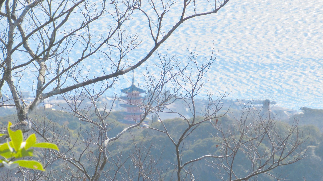 三浦富士-砲台山-武山_2026-01