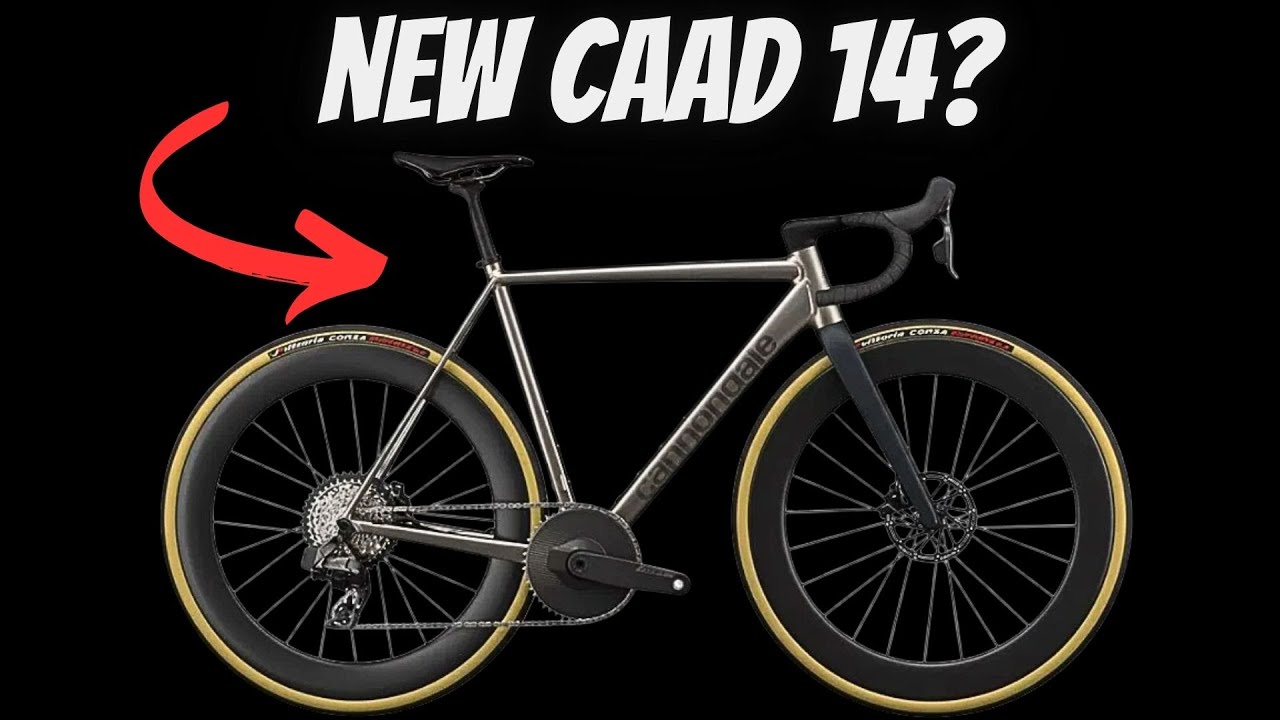 Does The NEW CAAD 14 Have A Place In Today's CARBON FIBER Dominant World??