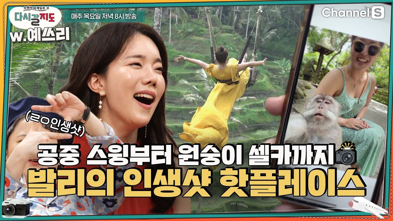 공중에서 찍는 발리스윙부터 원숭이와 셀카까지?! 인생샷 맛집 발리🐒ㅣ[다시갈지도]✈
