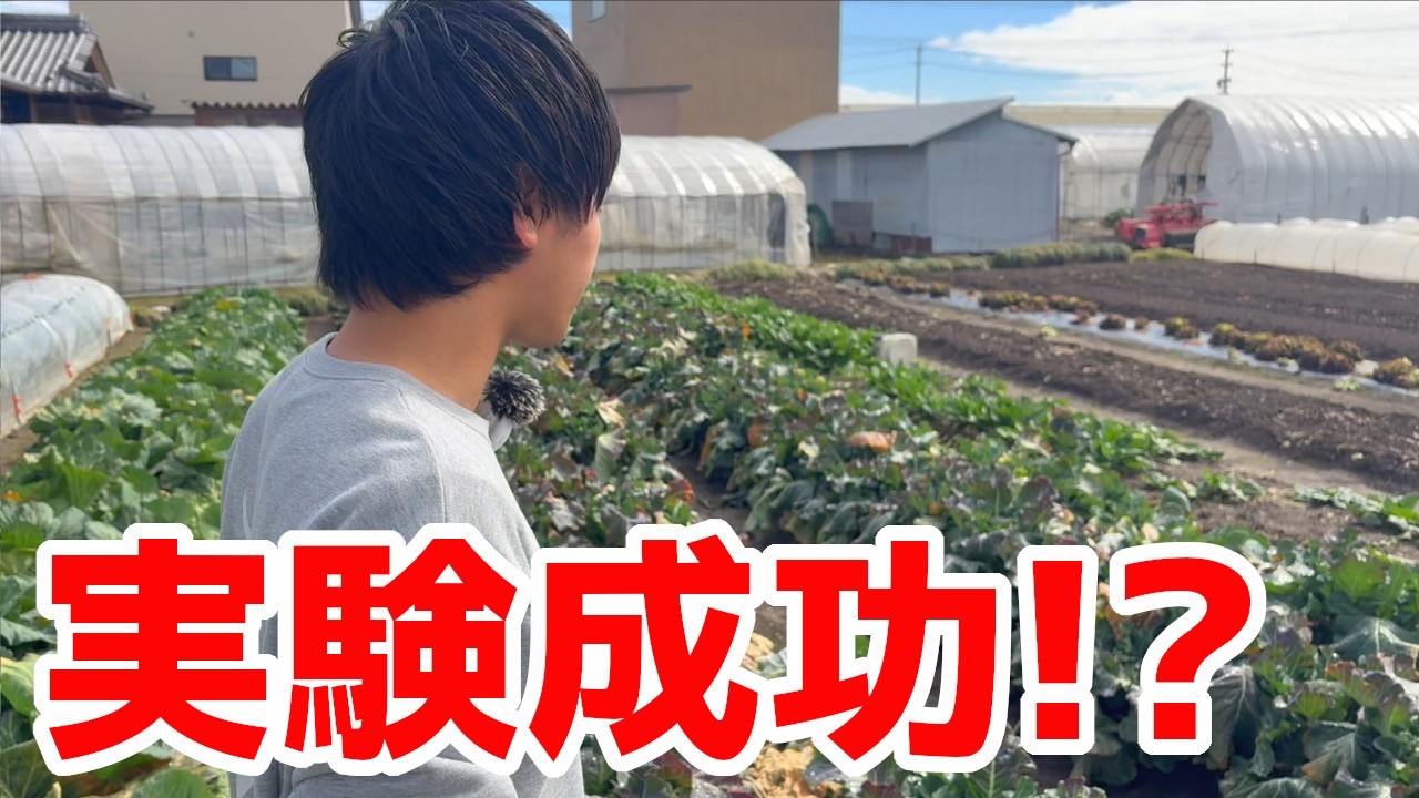 実験が上手くいっています！【農業】