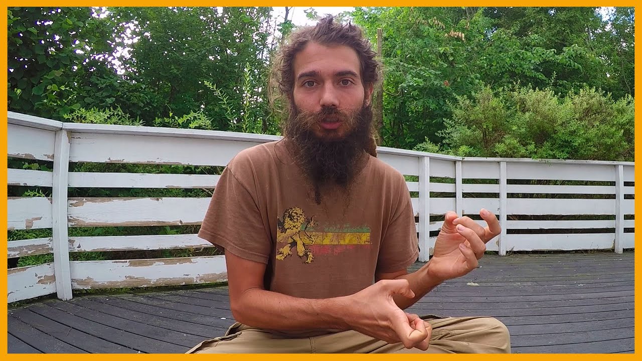 HOW TO TRANSITION TO A RAW VEGAN DIET: COLD TURKEY VS BABYSTEPS