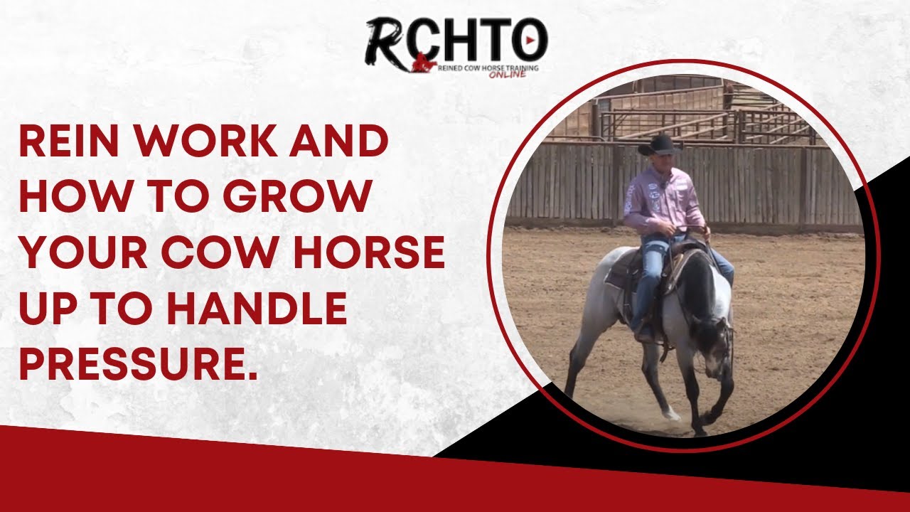 Rein Work And How To Grow Your Cow Horse Up To Handle Pressure.