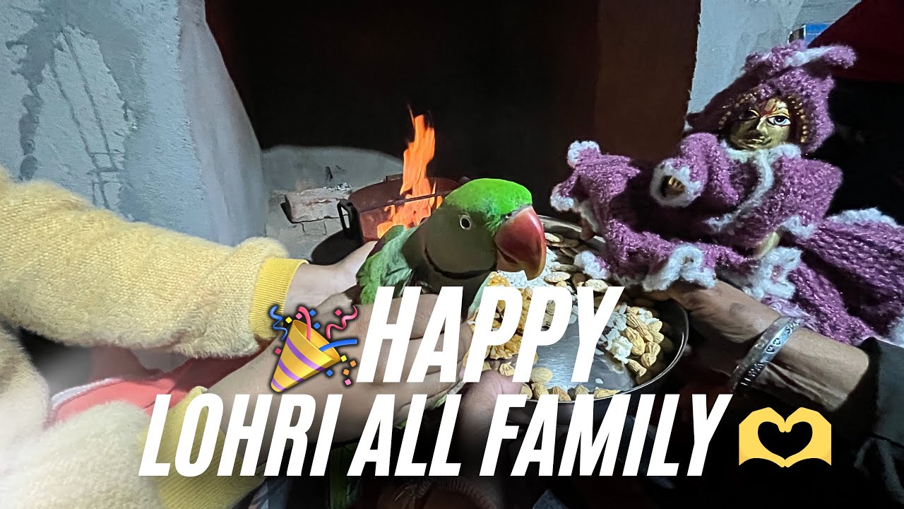 Happy lohri YouTube family 🫶😍 & bhoot sara love you 